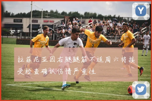 拉菲尼亚因右腿腿筋不适周六将接受检查确认伤情严重性