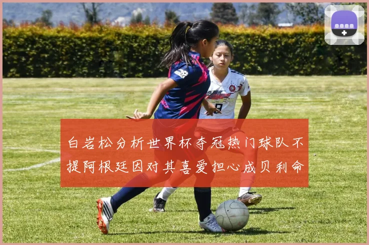 白岩松分析世界杯夺冠热门球队不提阿根廷因对其喜爱担心成贝利命运